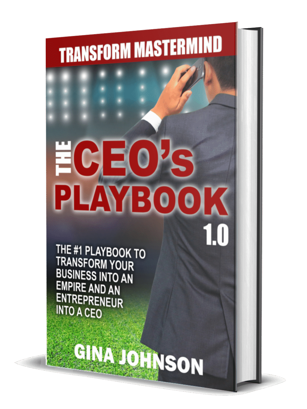 Gina Johnson Holistic Entrepreneurial Business Coach